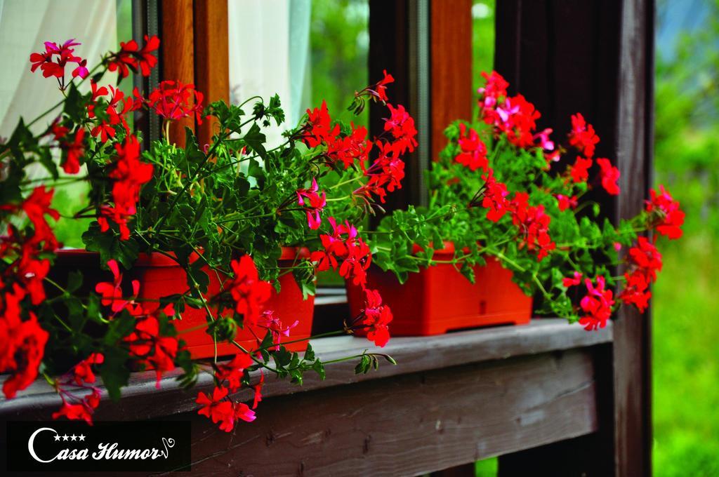 Pension Casa Humor Ґурагумора Екстер'єр фото